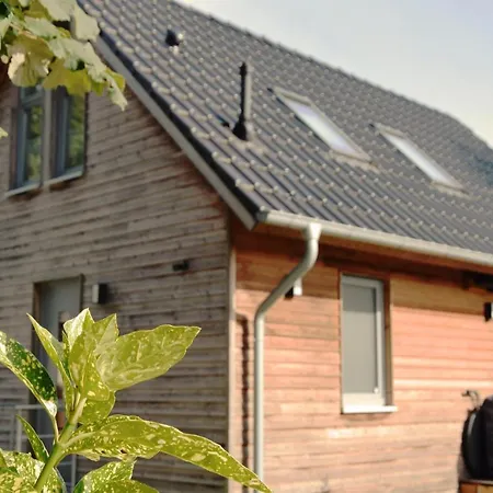 Reiherweg Holiday home